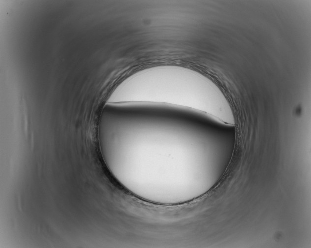 X0000100190035200805300735