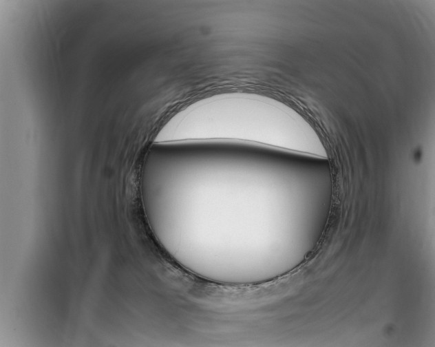 X0000100190037200805300735