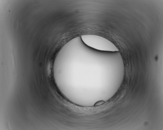 X0000100190038200805300735
