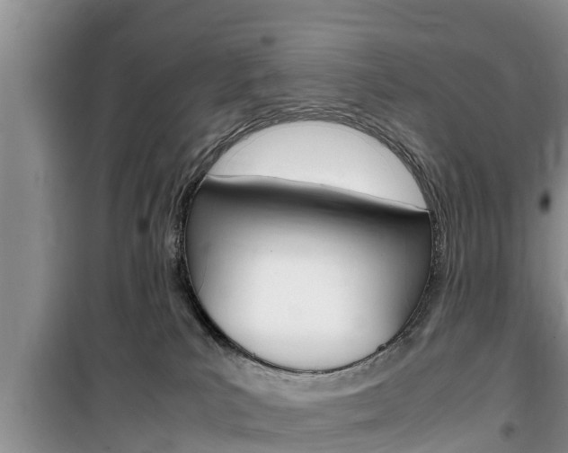 X0000100190039200805300735