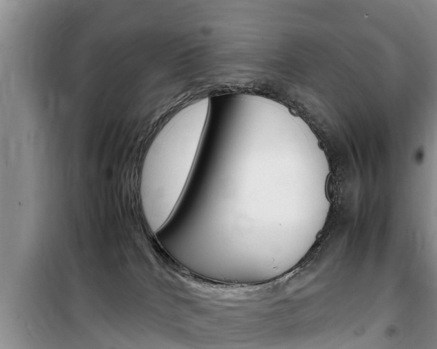 X0000100190040200805300735