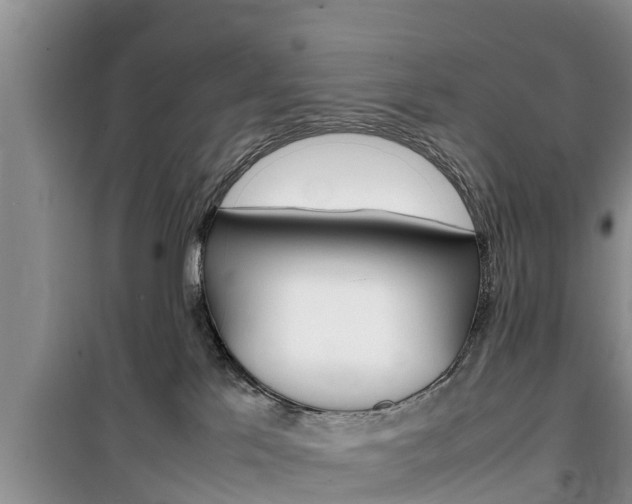X0000100190041200805300735