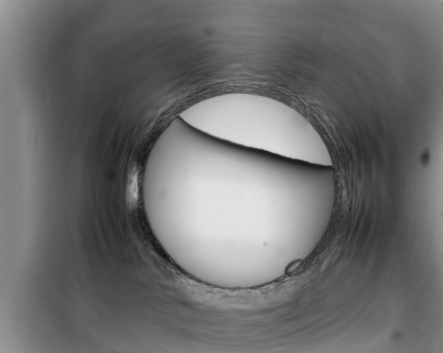 X0000100190042200805300735