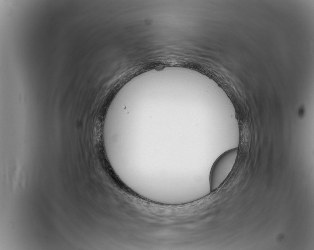 X0000100190043200805300734