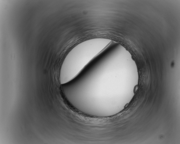 X0000100190044200805300734