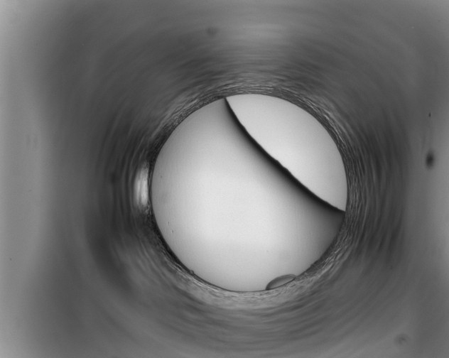 X0000100190046200805300734