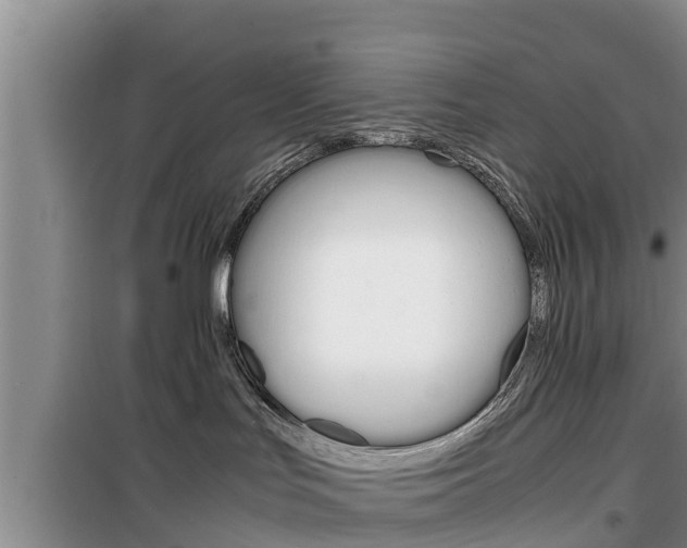 X0000100190047200805300734