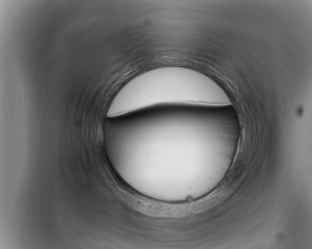 X0000100190048200805300734