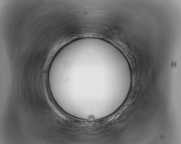 X0000100190049200805300734