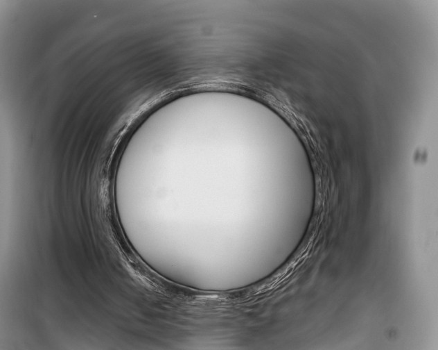 X0000100190050200805300734