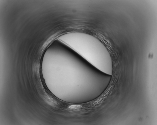 X0000100190051200805300734