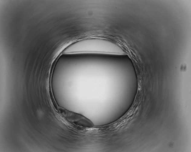 X0000100190052200805300734