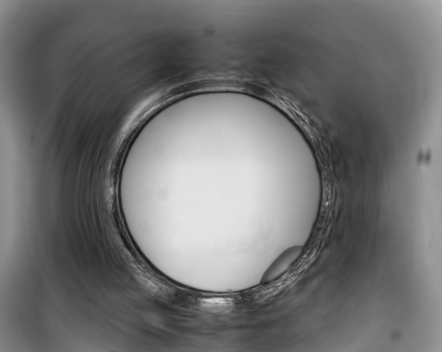 X0000100190053200805300734