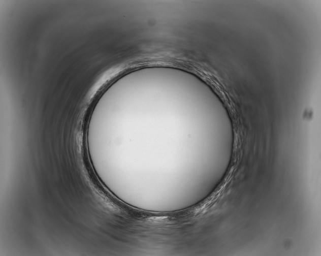 X0000100190054200805300734
