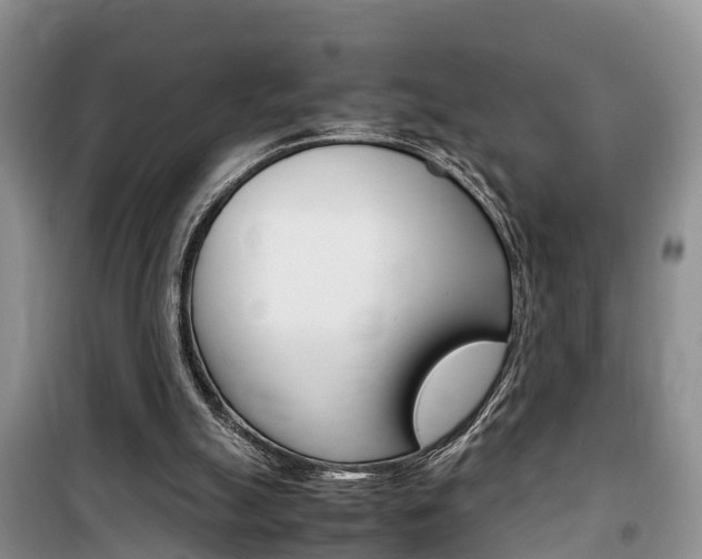 X0000100190055200805300734
