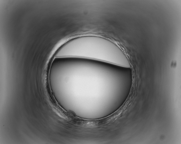 X0000100190056200805300734