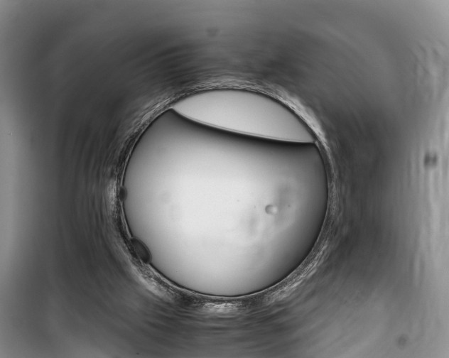 X0000100190057200805300734
