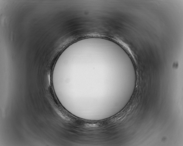 X0000100190061200805300734