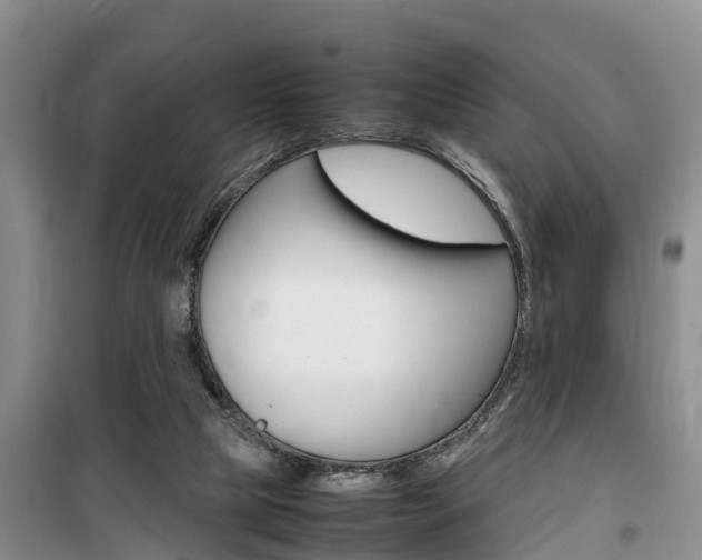 X0000100190065200805300734