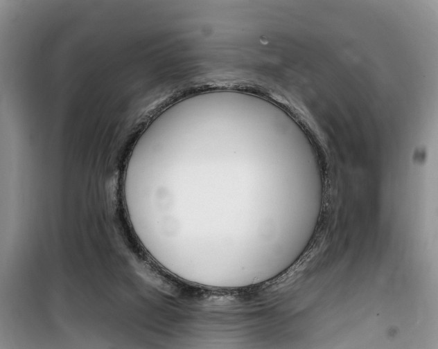 X0000100190066200805300734