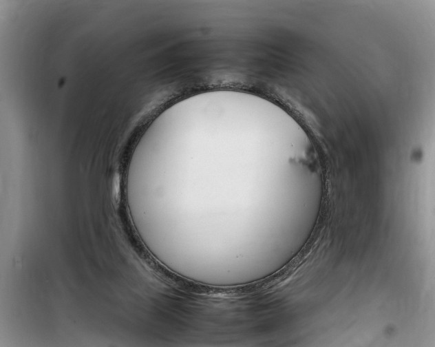 X0000100190067200805300734