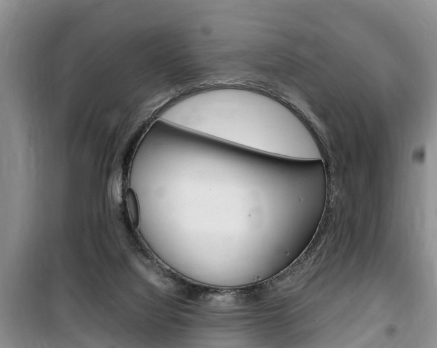 X0000100190068200805300734