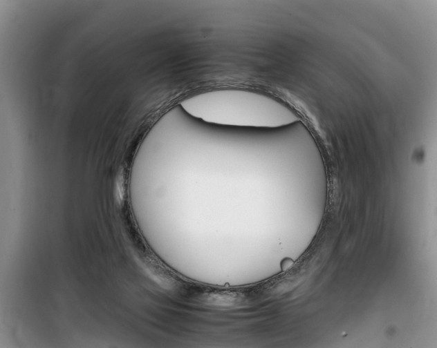 X0000100190069200805300734