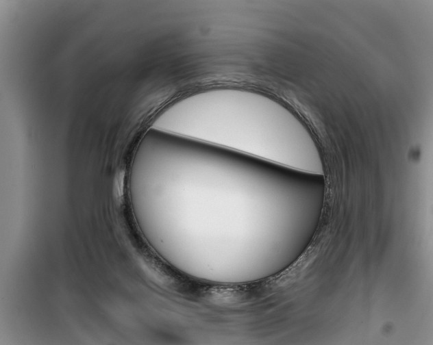 X0000100190070200805300734