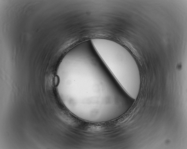 X0000100190071200805300734
