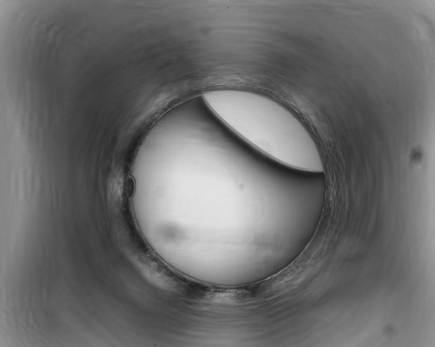 X0000100190072200805300734