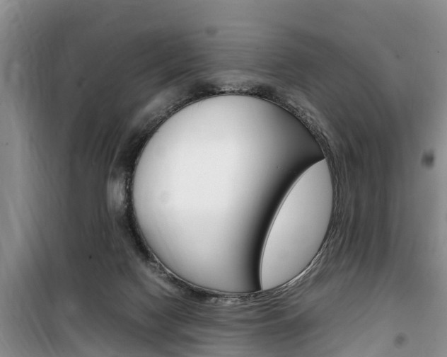 X0000100190074200805300734