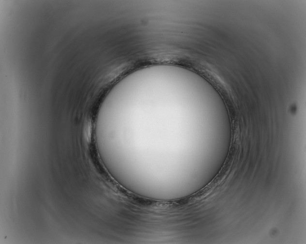 X0000100190076200805300734