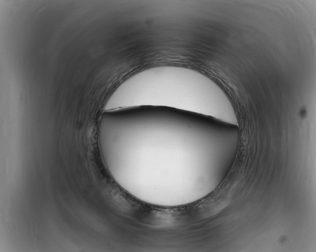 X0000100190079200805300734