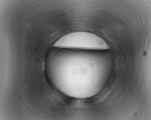 X0000100190080200805300734