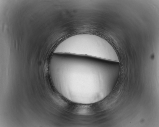 X0000100190081200805300734
