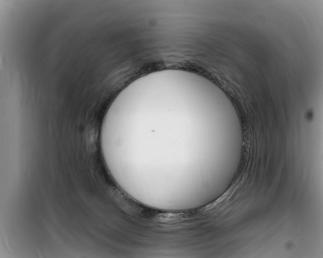 X0000100190082200805300734