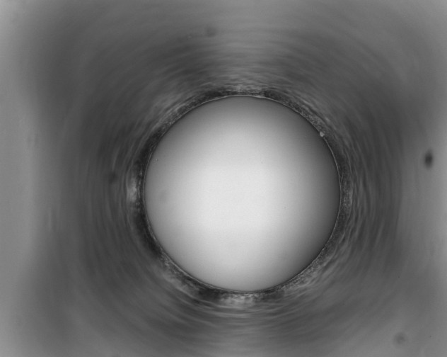 X0000100190084200805300734