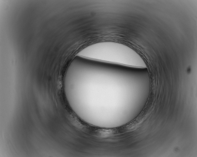 X0000100190085200805300734