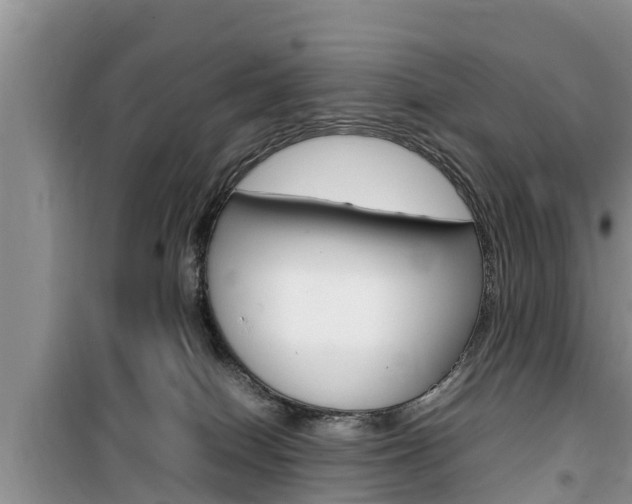 X0000100190086200805300734