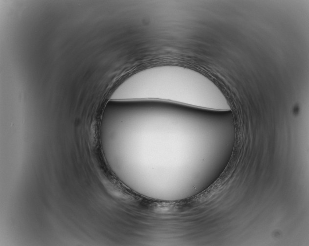 X0000100190088200805300734