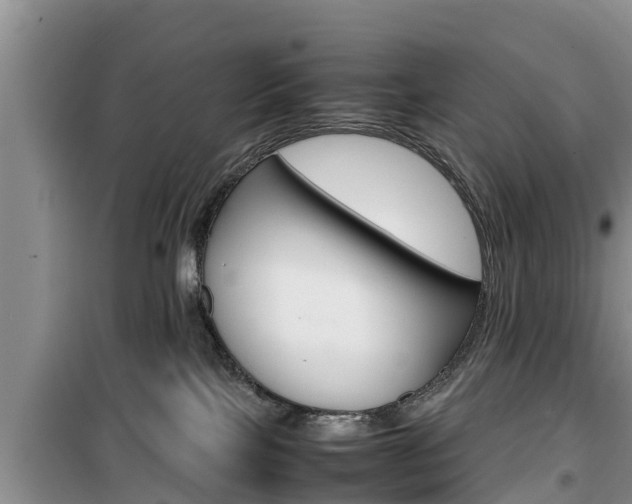 X0000100190089200805300734
