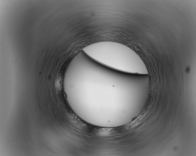 X0000100190090200805300734