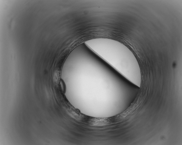X0000100190093200805300734