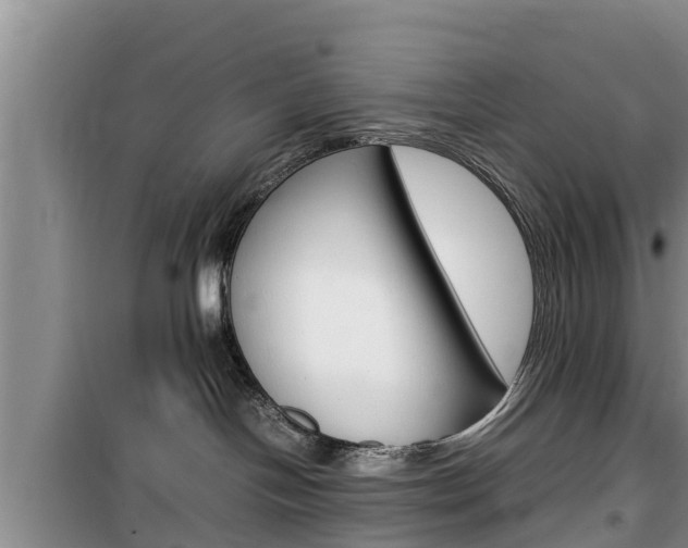 X0000100190094200805300734
