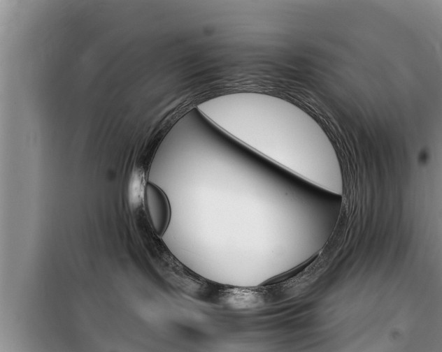 X0000100190095200805300734