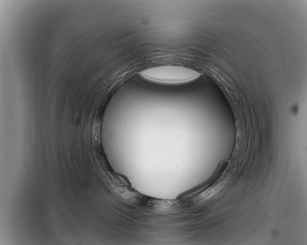 X0000100190096200805300734