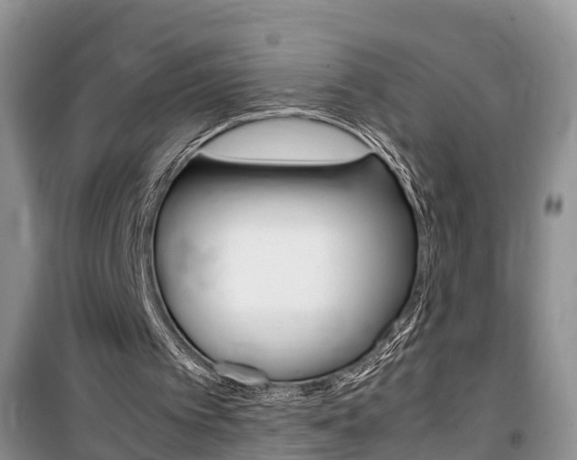X0000100190097200805300734