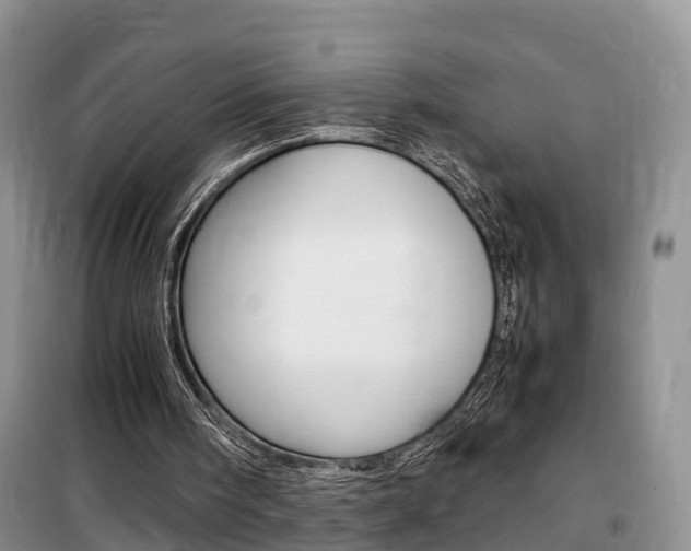 X0000100190098200805300734