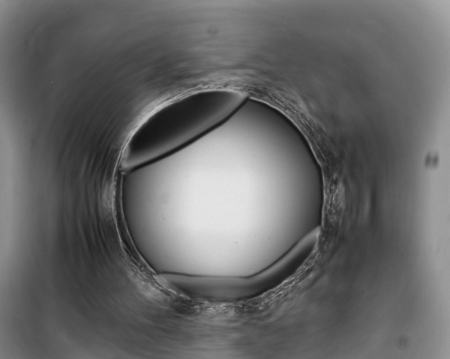 X0000100190100200805300734