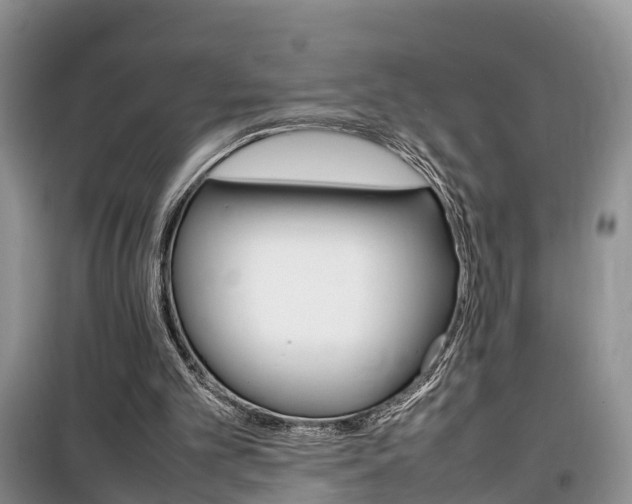 X0000100190101200805300734